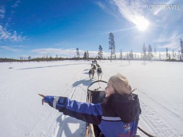 ฮัสกี้ซาฟารี สุขัขลากเลื่อน ประเทศฟินแลนด์ Husky Safari Finland Loft Travel